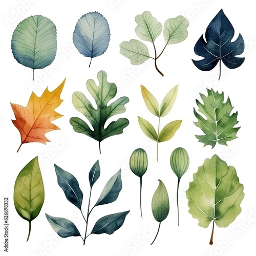 set of leaves and nature elements painted in watercolor on a white isolated background © LELISAT