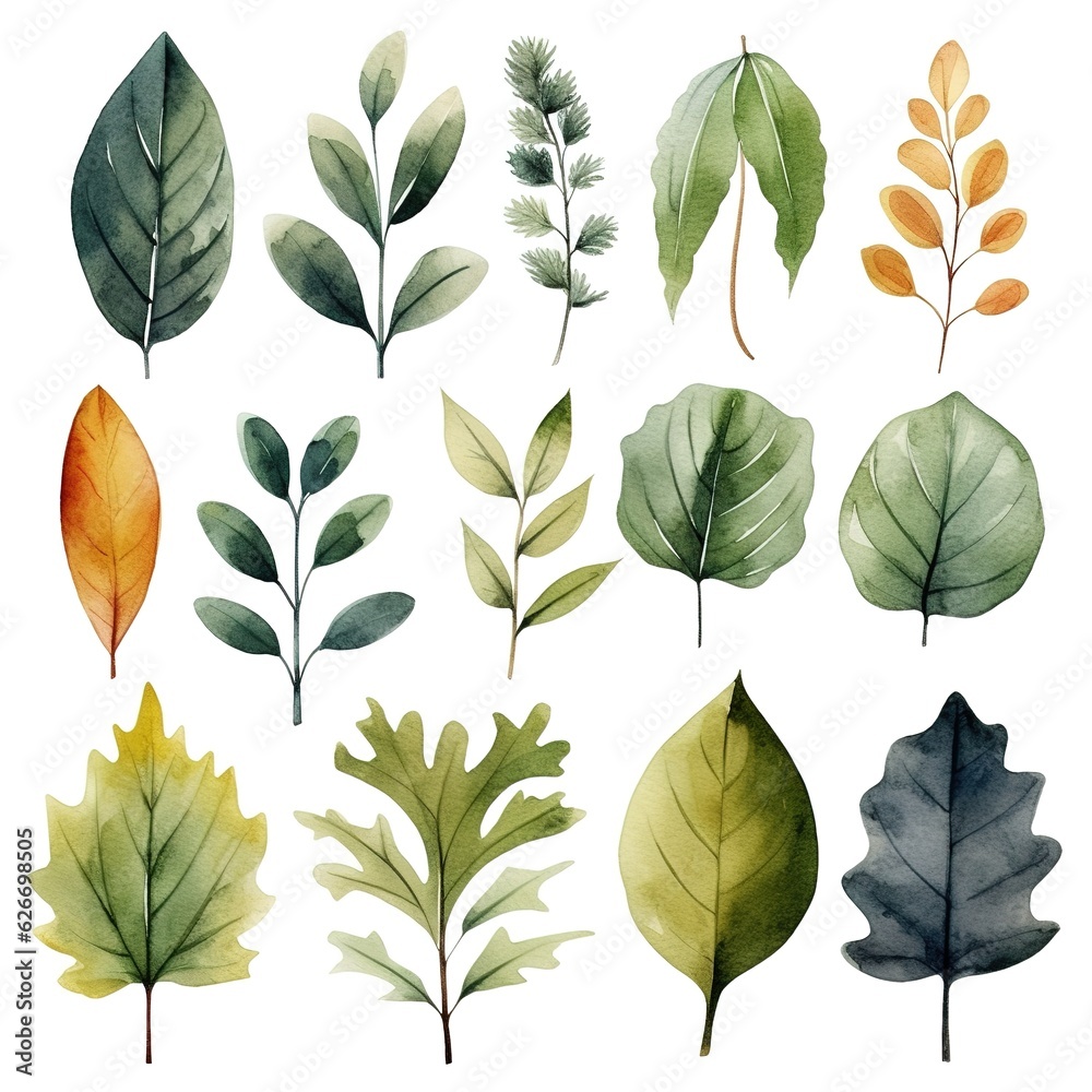 set of autumn leaves painted in watercolor on a white isolated background set of autumn leaves painted in watercolor on a white isolated background