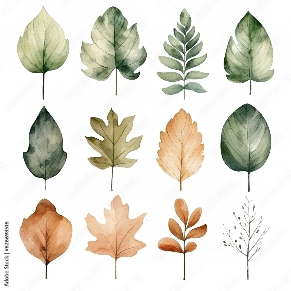 set of autumn leaves painted in watercolor on a white isolated background
