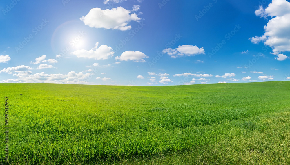 Panoramic natural landscape with green grass field meadow and blue sky with clouds, bright sun and horizon line. Panorama summer spring grassland in sunny day.