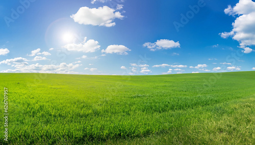 Panoramic natural landscape with green grass field meadow and blue sky with clouds, bright sun and horizon line. Panorama summer spring grassland in sunny day. © Uuganbayar