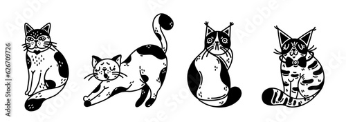 Cute cats vector set. Fluffy purebred and outbred kittens. Tabby, spotted black and white pets. Lazy, grumpy, sitting domestic animals. Simple isolated doodle. Cartoon clipart for stickers, print, web