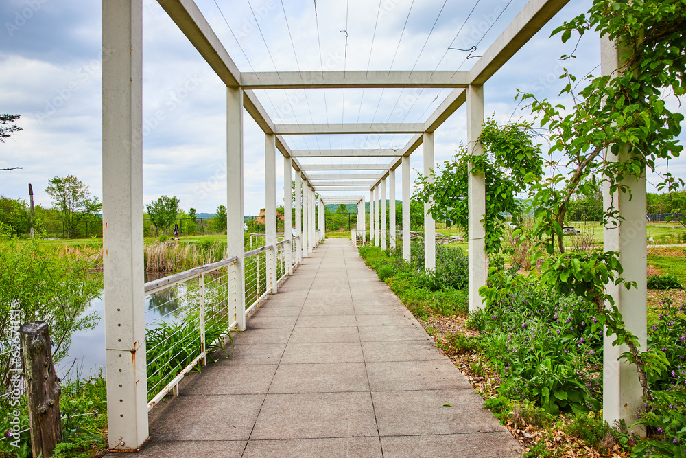 White pergola with pond beside the long trail and vines creeping up the side of a pillar White pergola with pond beside the long trail and vines creeping up the side of a pillar