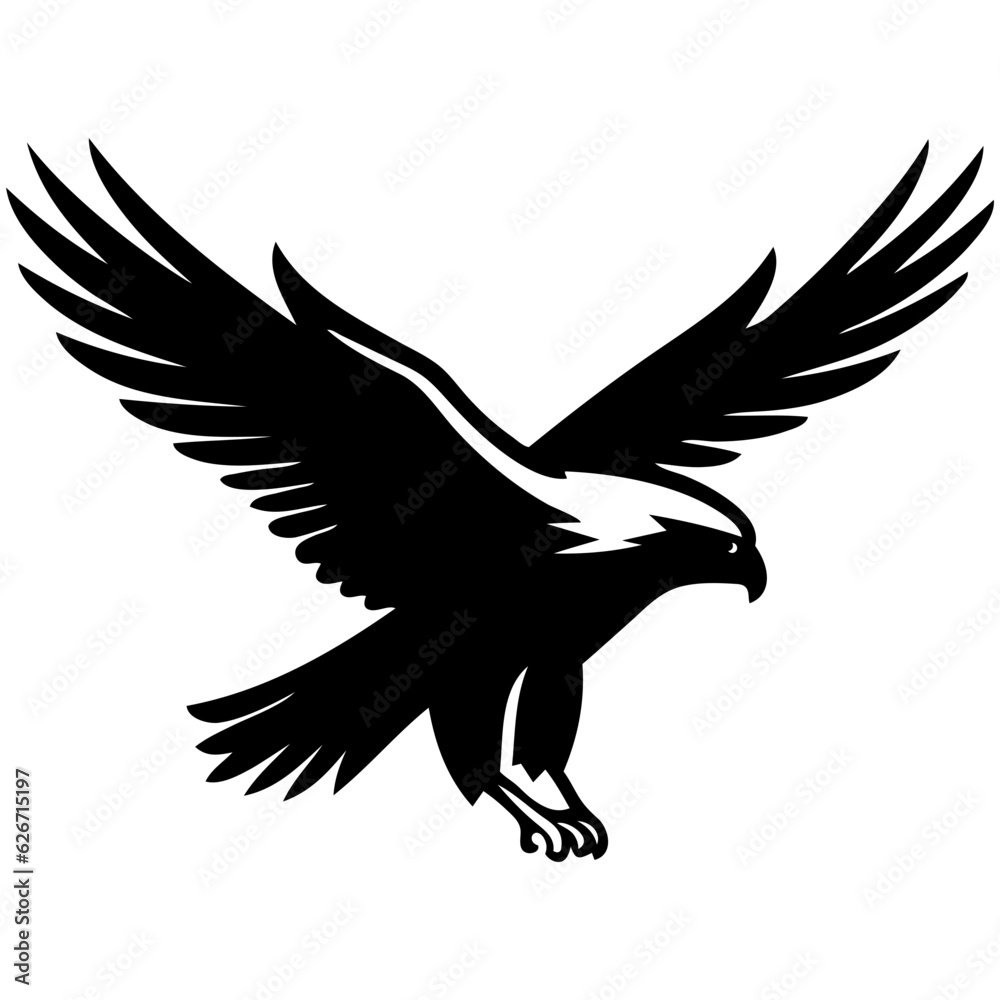 Obraz premium eagle in flight