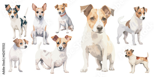 Fototapet Watercolor Jack Russell dog clipart for graphic resources