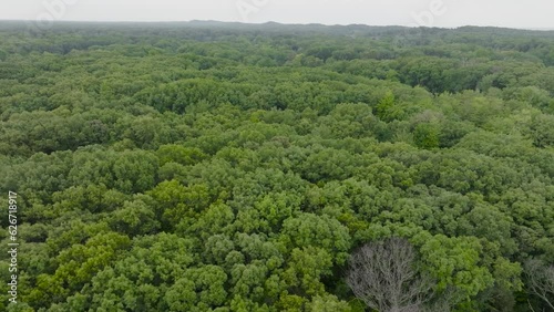 High angle of a small forested area. photo