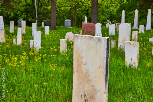 Unmarked graves, gravestones, headstones, tall green grass, graveyard, background asset photo