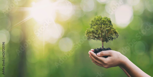 Fotobehang Tree planting on volunteer family's hands for eco friendly and corporate social