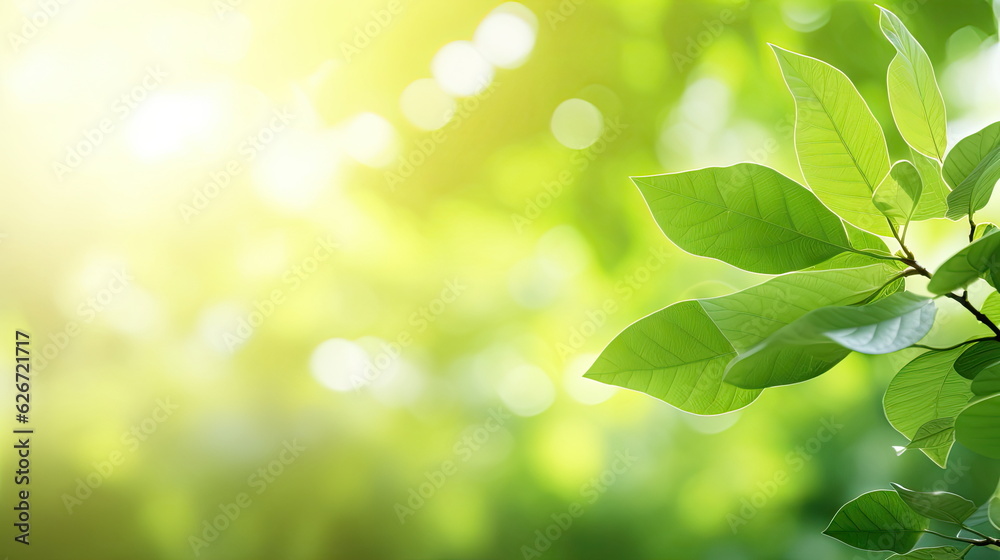 Nature of green leaf, greenery wallpaper Nature of green leaf, greenery wallpaper