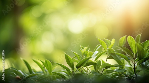 Nature of green leaf, greenery wallpaper