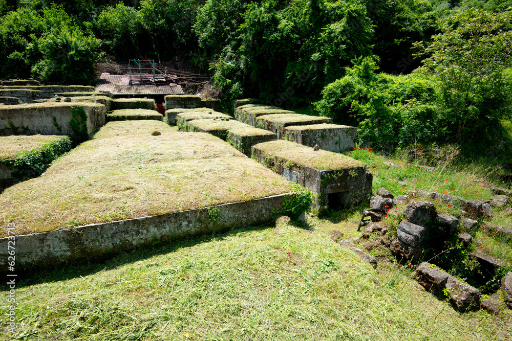 Fototapeta premium Etruscan Necropolis of Crocifisso del Tufo - Orvieto - Italy