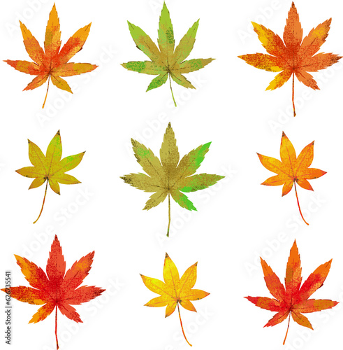 紅葉したもみじの葉の水彩風イラストセット