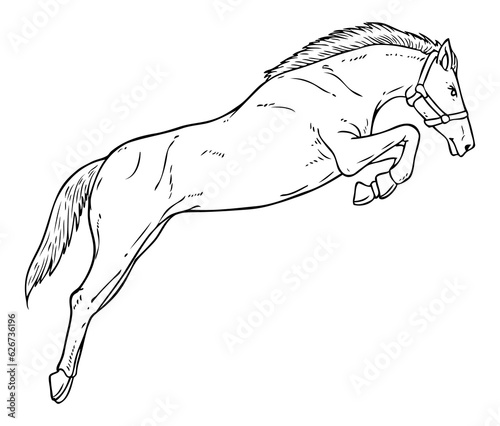 horse outline vector illustration