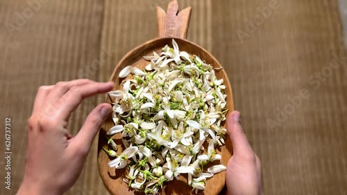 Pomegranate shape wooden handmade plate caving workshop and organic orange blossom flower bud amazing aroma taste and the pattern of nomad local people manmade wicker in northern middle east photo