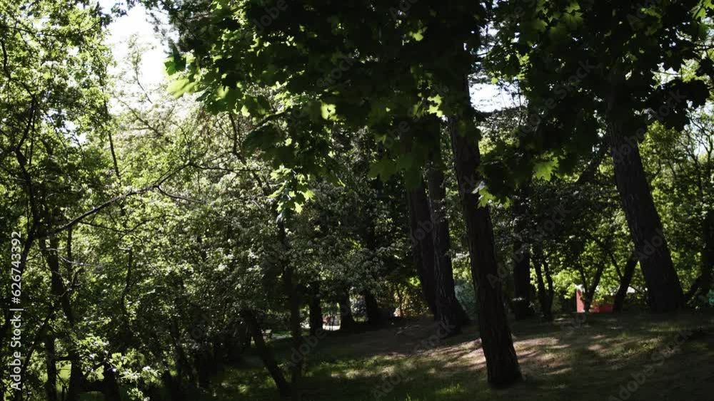 A peaceful park scene. The sun shines through the trees. 4K video. A peaceful park scene. The sun shines through the trees. 4K video.