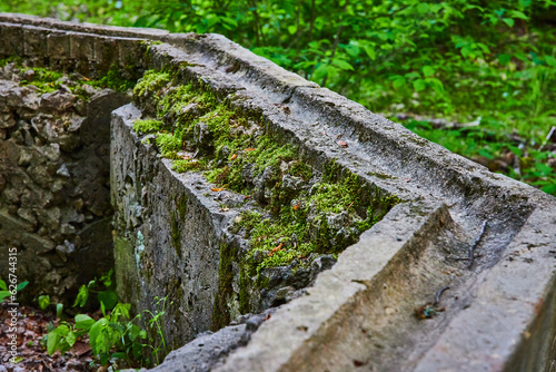 Above ground aqueduct like concrete structure partial hexagon shaped thing overgrown with plant life