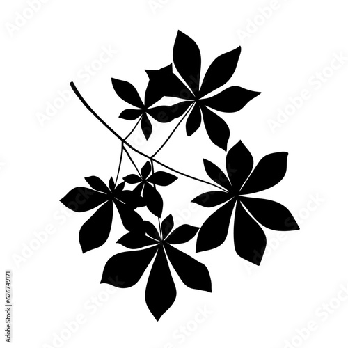 Branch of chestnut or buckeye tree with fan leaves, black silhouette on white. Hand drawn sketch, minimal stencil design. Vector for floral print, botanical, forest and park illustration.