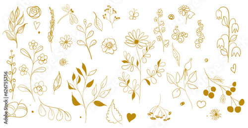 Set of hand drawn calligraphic floral elements  golden color. Vector illustration