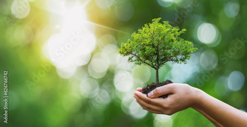 Fotobehang Tree planting on volunteer family's hands for eco friendly and corporate social