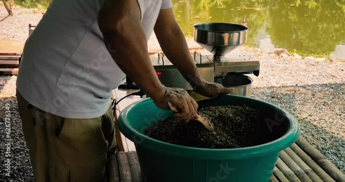 Asian man mixing various seeds in countryside.  flax seeds, pumpkin seeds, cannabis, cumin. 4k, slowmo photo
