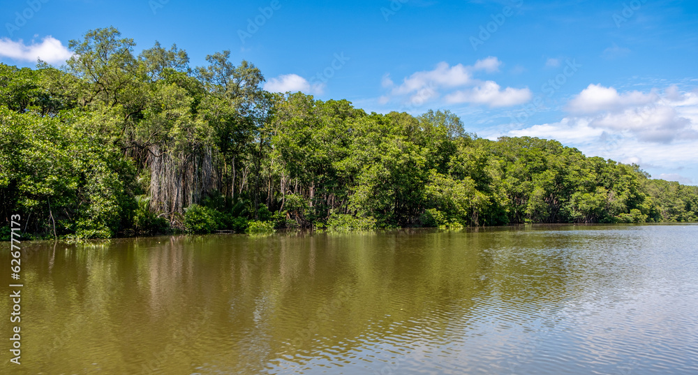Mangrove forest near Bandar Seri Begawan, Brunei on the island of Borneo Mangrove forest near Bandar Seri Begawan, Brunei on the island of Borneo