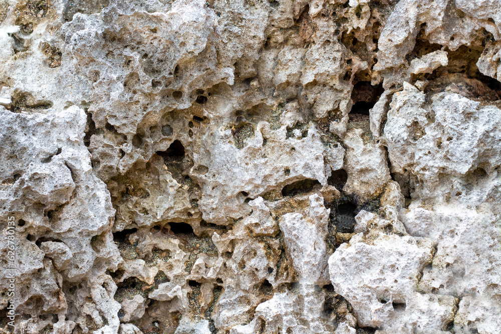 coral rock texture background, stone texture coral rock texture background, stone texture