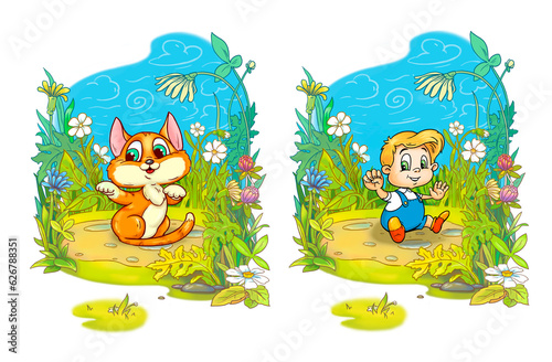 a boy  a cat  sitting in summer  in a meadow full of blooming flowers and plants under a blue sky