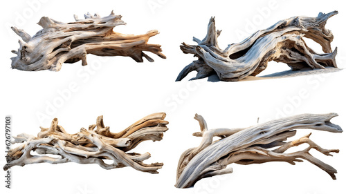 driftwood Generative AI © Yukie