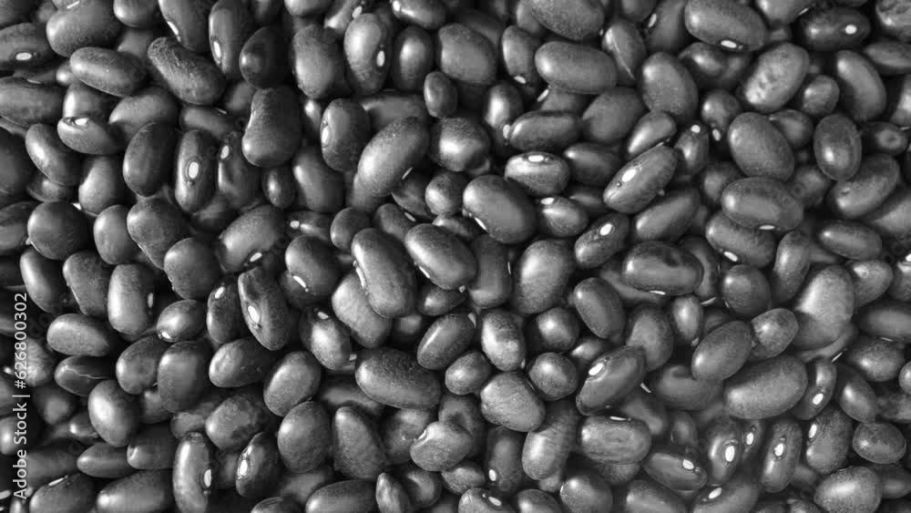 Black turtle beans are a versatile, flavorful, and nutrientdense