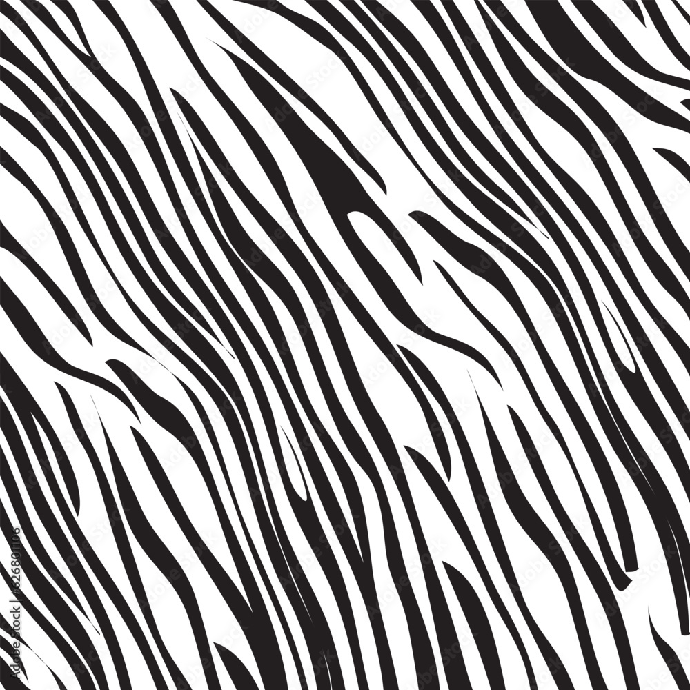 Zebra stripe pattern, illustration. Zebra stripe pattern, illustration.