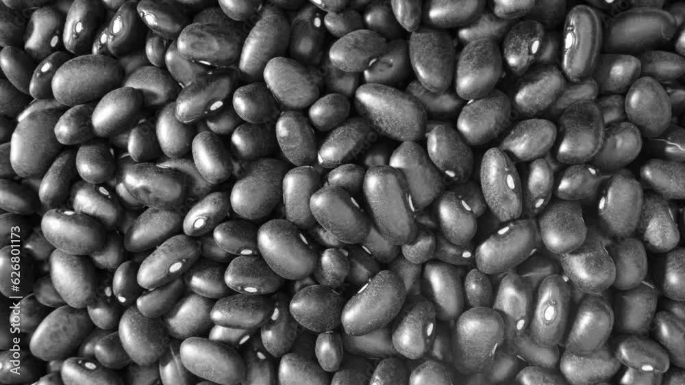 Black turtle beans are dark black in color. They have a slightly