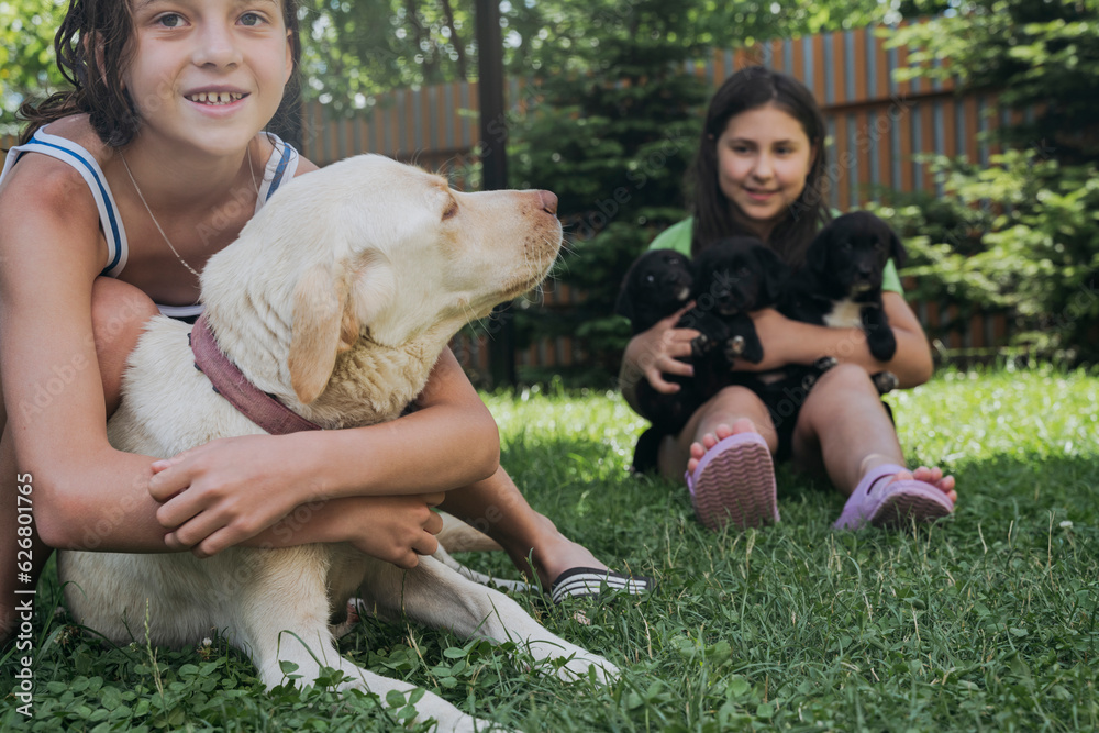 Friends spending leisure time with dogs in back yard Friends spending leisure time with dogs in back yard