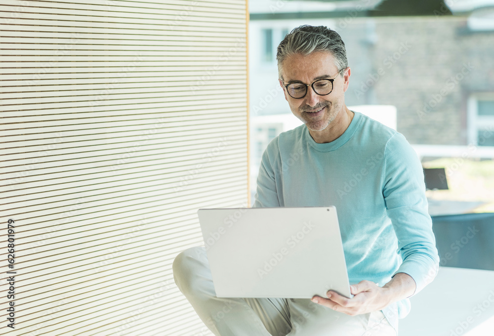 Smiling businessman working on laptop in office
