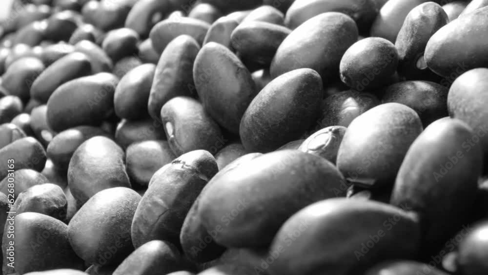 Black turtle beans, also known as black beans, are a type of legume and
