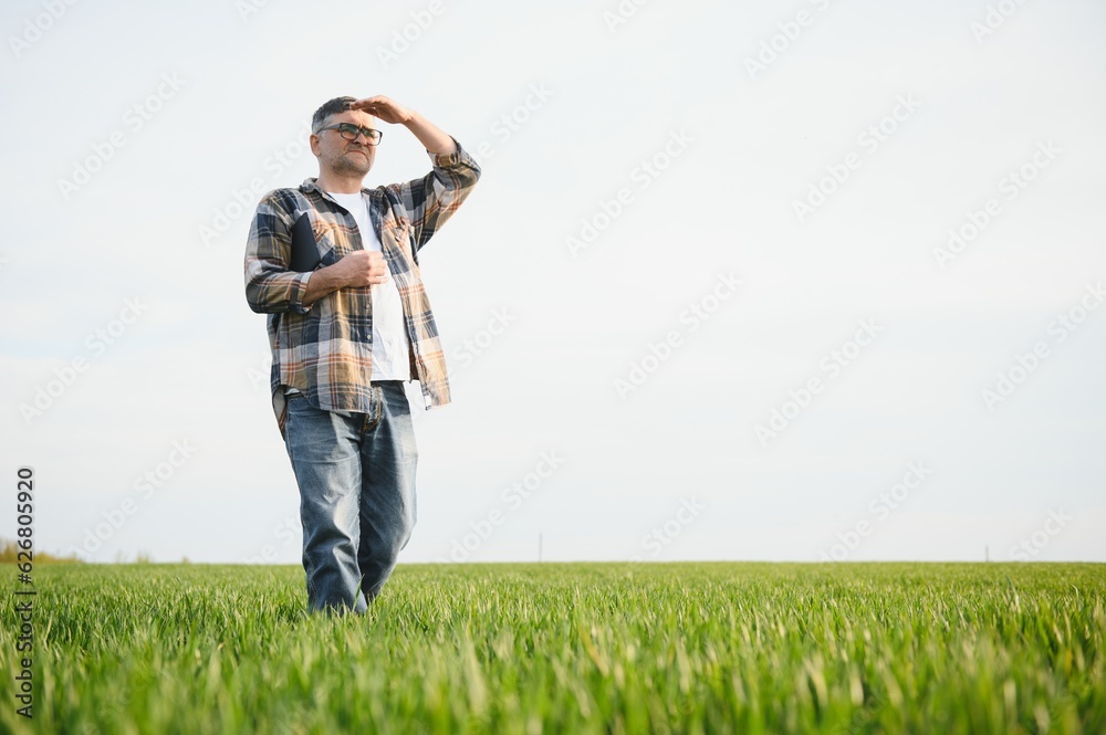 Experienced and confident farmer on his field. Portrait of senior farmer agronomist in wheat field. Experienced and confident farmer on his field. Portrait of senior farmer agronomist in wheat field.