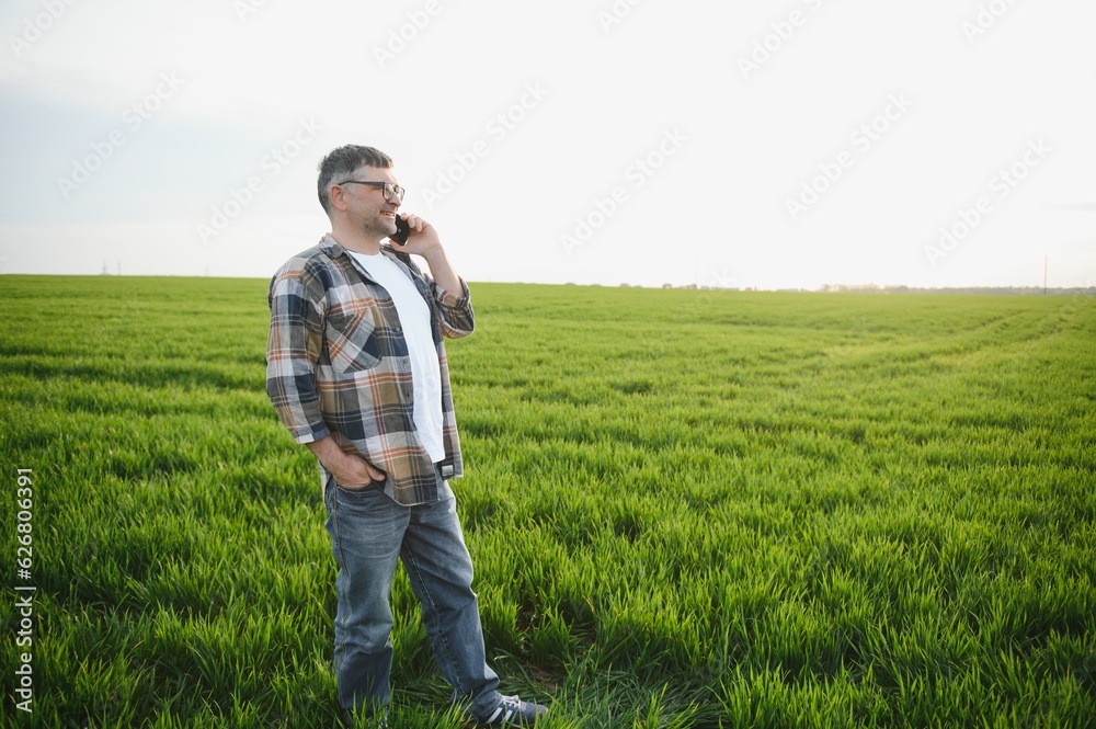 Portrait of senior farmer standing in green wheat field.