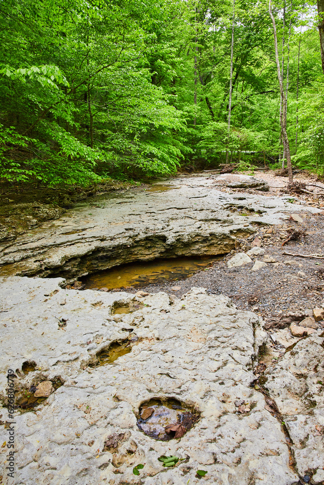 Dried up riverbed with limestone rocks and tiny pool of water in lush green forest