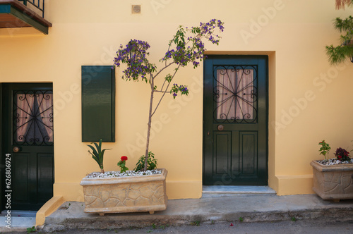 door and flowers