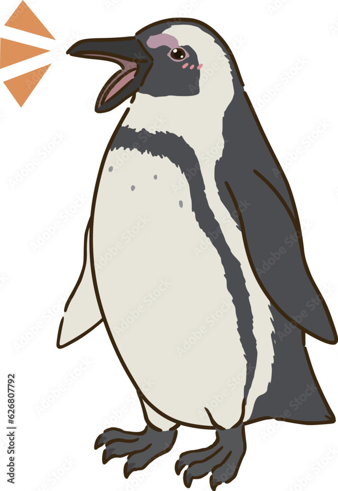 喜ぶケープペンギン 喜ぶケープペンギン