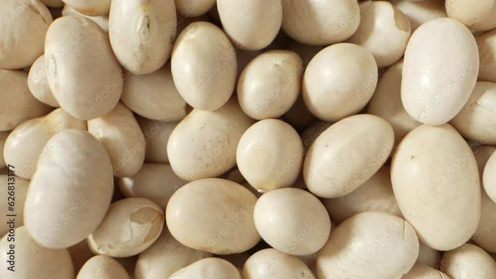 The intricate details of the bean's shape, highlighting the gentle curves and contours. The bean appears smooth and velvety, inviting the viewer to appreciate its subtle elegance. White kidney beans
The intricate details of the bean's shape, highlighting the gentle curves and contours. The bean appears smooth and velvety, inviting the viewer to appreciate its subtle elegance. White kidney beans