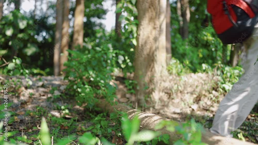 young woman family active to trekking walk on mountain trail trip together, hiking tourism in wild nature forest, green adventure travel tourist people and outdoor summer lifestyle vacation concept young woman family active to trekking walk on mountain trail trip together, hiking tourism in wild nature forest, green adventure travel tourist people and outdoor summer lifestyle vacation concept