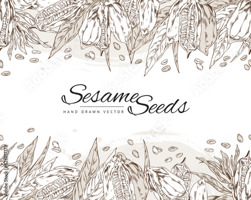Sesame seeds seamless border, hand drawn sketch vector illustration on white background.