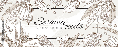 Vector template background design with outline sketch drawing sesame plant with leaves, capsules, seeds and flowers