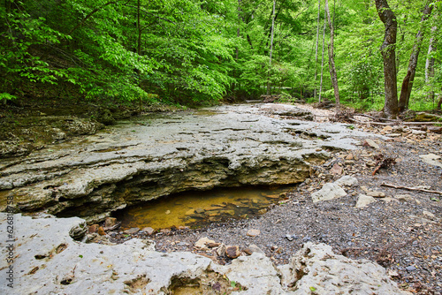 Pool of water under exposed limestone rock in dried up riverbed in lush green forest photo