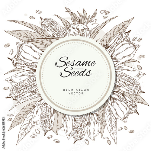 Sesame seeds and plants round banner with text, sketch vector illustration isolated on white background.