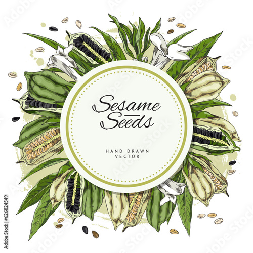 Sesame seeds spices circle label design sketch vector illustration isolated.