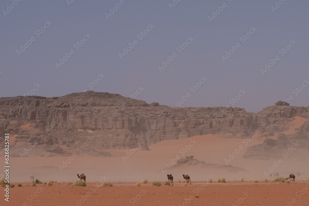 view in the Sahara desert of Tadrart rouge tassili najer in Djanet City  ,Algeria.colorful orange sand, rocky mountains