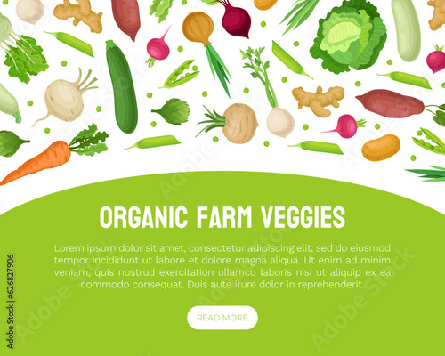 Fresh Organic Vegetables Banner Design Vector Template