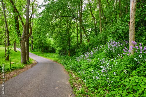 Aerial Foundation Park with trees and hill covered in Dames Rocket and Oxalis Triangularis flowers