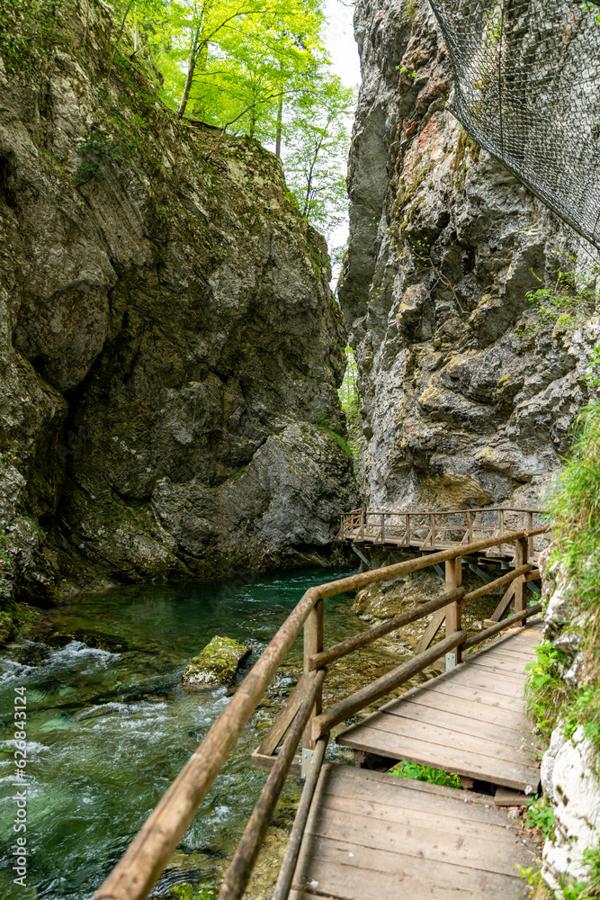 the vintgar gorge in Solvenia, a nature park with waterfalls and green plants the vintgar gorge in Solvenia, a nature park with waterfalls and green plants